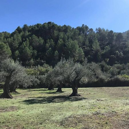 Paraiso Cuantico Eslida Εξωτερικό φωτογραφία