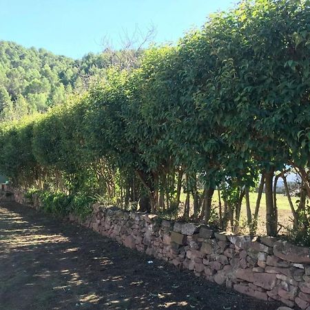 Paraiso Cuantico Eslida Εξωτερικό φωτογραφία