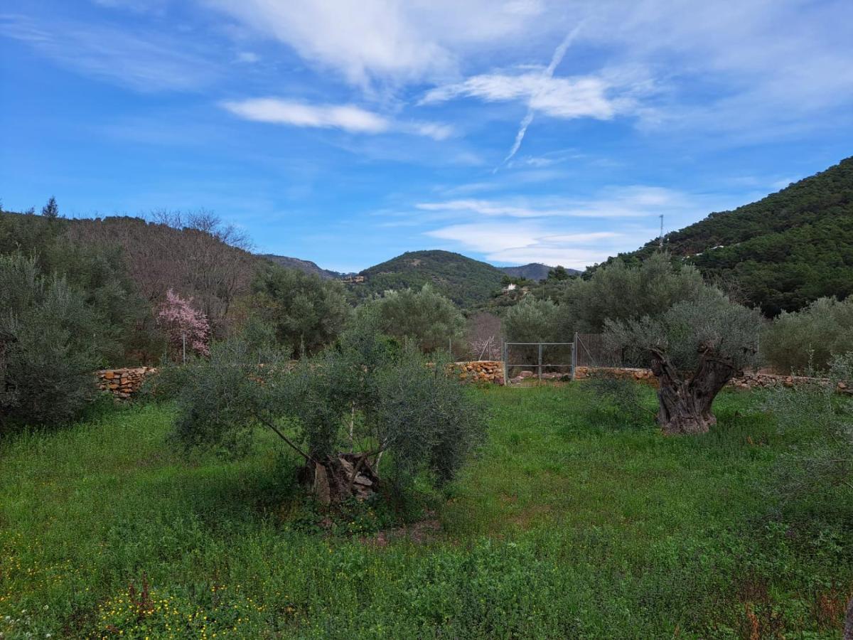 Paraiso Cuantico Eslida Εξωτερικό φωτογραφία
