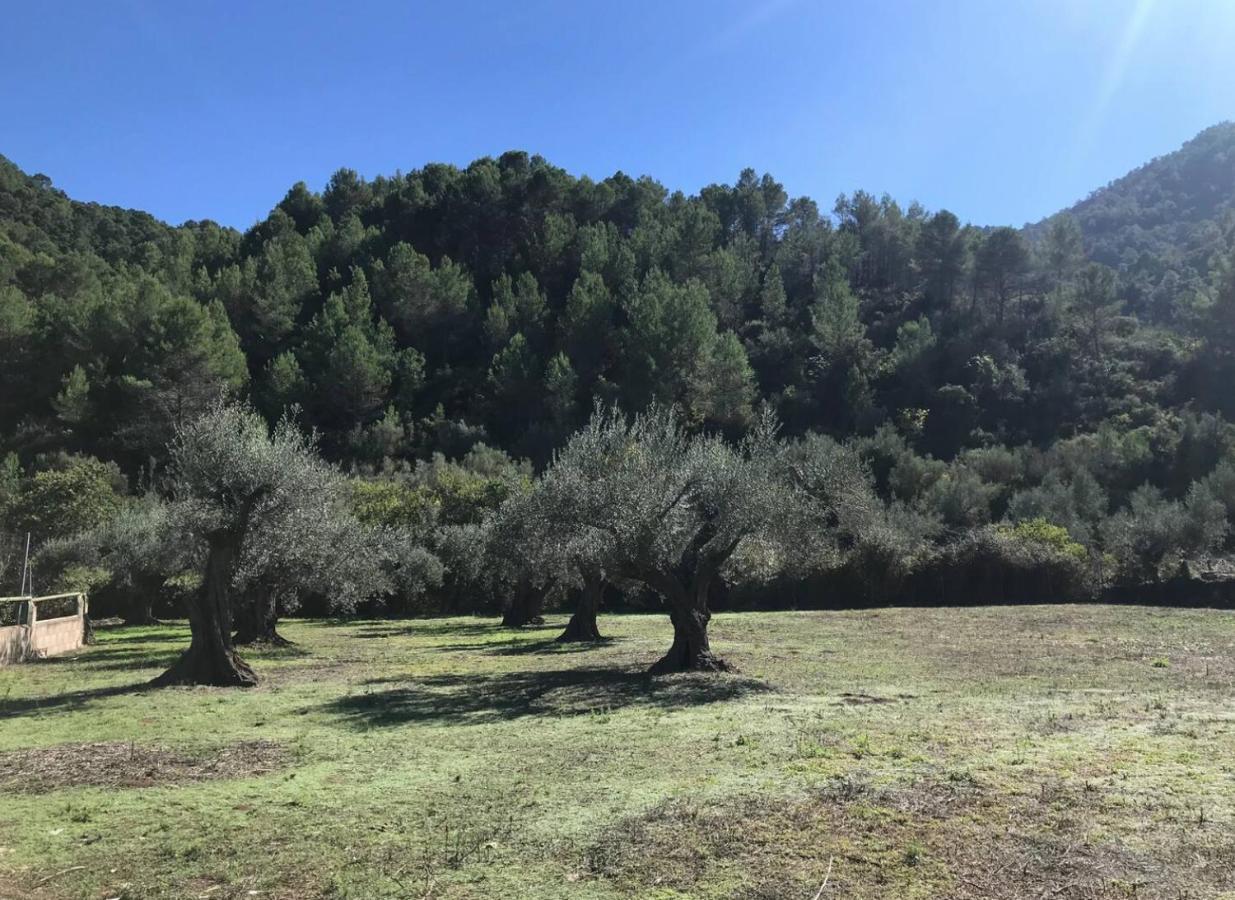 Paraiso Cuantico Eslida Εξωτερικό φωτογραφία