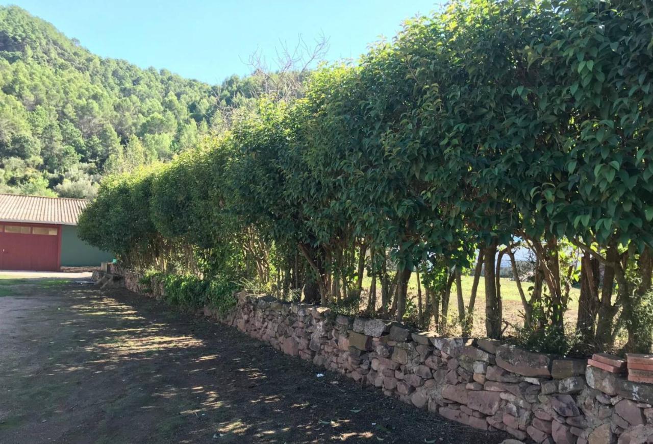 Paraiso Cuantico Eslida Εξωτερικό φωτογραφία