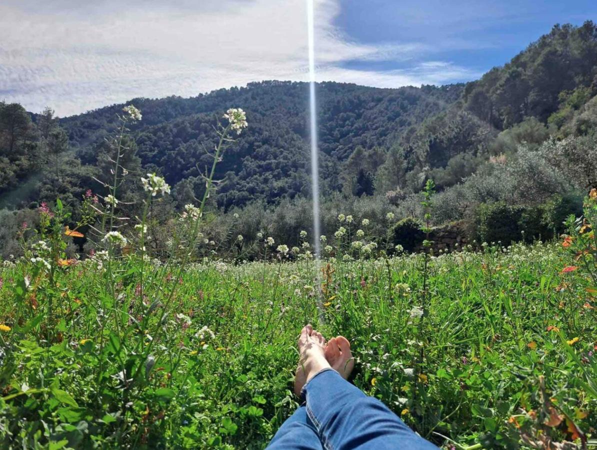 Paraiso Cuantico Eslida Εξωτερικό φωτογραφία