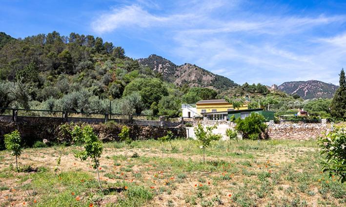 Paraiso Cuantico Eslida Εξωτερικό φωτογραφία